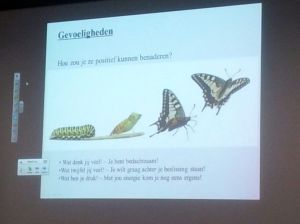 De fasen van bewustzijn in een positieve interpretatie