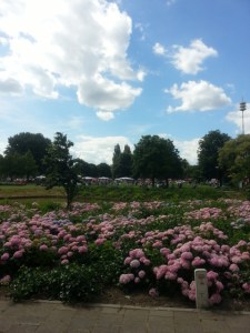 Stratum aan Zet in het Bonifaciuspark