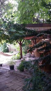 Gezelligheid is ook waarde