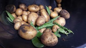 Aardappels, groenten, druiven