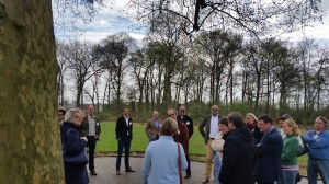 Bewustwording met de 300 jaar oude plataan als metafoor en voorbeeld